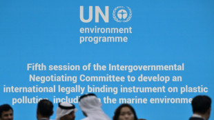 Pollution plastique: le chef des n&eacute;gociations appelle &agrave; acc&eacute;l&eacute;rer les travaux