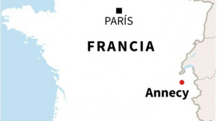 Un hombre hiere a cuatro ni&ntilde;os en un ataque con cuchillo en Francia