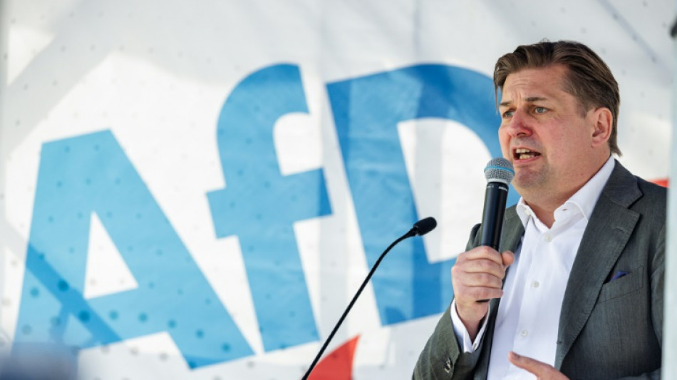 Allemagne : de grands groupes entrent en campagne contre l'extr&ecirc;me droite