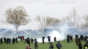 Violentos enfrentamientos en una manifestaci&oacute;n ecologista en Francia
