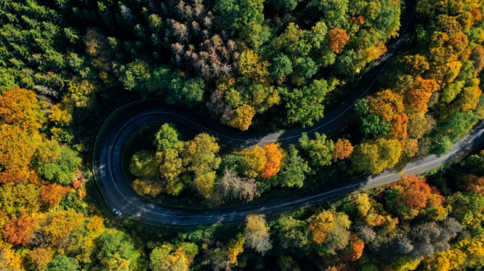 Bericht: Anf&uuml;hrer von Reichsb&uuml;rger-Terrornetz kaufte Waldst&uuml;ck vom Bund