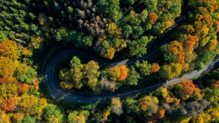 Bericht: Anf&uuml;hrer von Reichsb&uuml;rger-Terrornetz kaufte Waldst&uuml;ck vom Bund