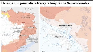 Un journaliste fran&ccedil;ais tu&eacute; en Ukraine, lors d'un reportage sur un convoi humanitaire