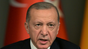 Erdogan f&uuml;r Schwedens Nato-Beitritt im Fall von EU-Beitrittsgespr&auml;chen mit T&uuml;rkei
