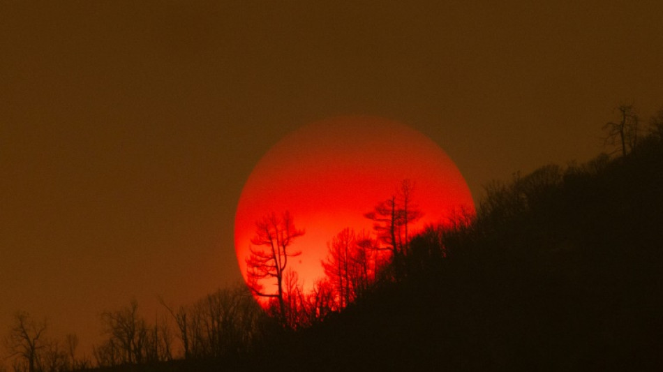 Deutscher Wetterdienst meldet w&auml;rmstes Jahr seit Beginn der Aufzeichnungen