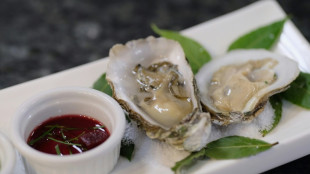 Pol&iacute;cia australiana procura ladr&otilde;es de 250.000 d&oacute;lares en ostras