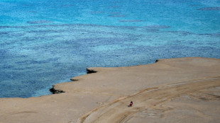 Dakar 2023: abandon du motard am&eacute;ricain Ricky Brabec sur chute