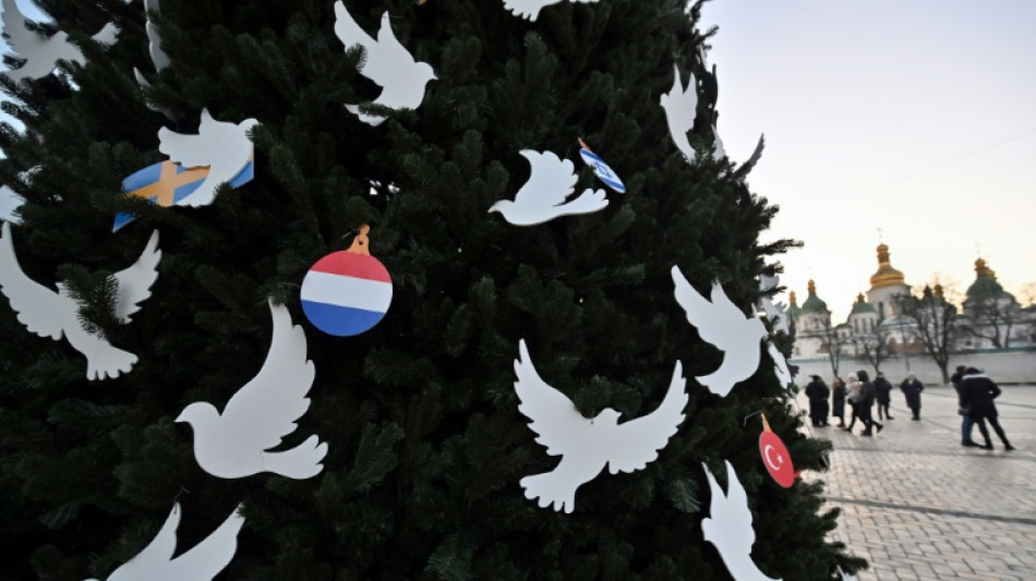 Rusia no le "robar&aacute;" la Navidad a los ni&ntilde;os ucranianos, asegura el alcalde de Kiev