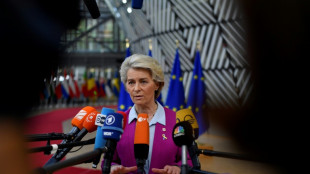 A Bruxelles, &acirc;pres tractations entre les Vingt-Sept sur l'&eacute;nergie