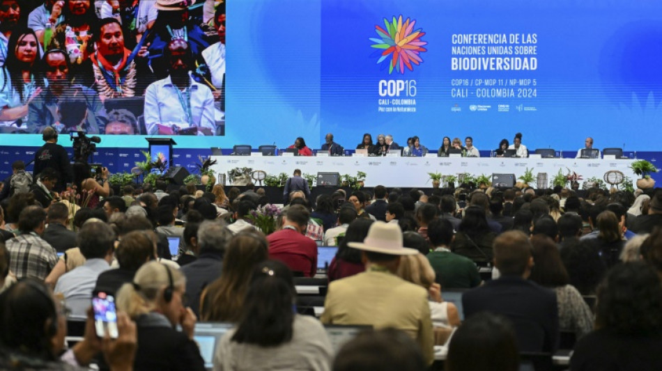 N&uacute;meros preocupam cientistas e agitam debate na COP16