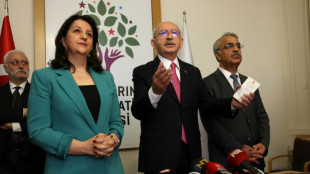 El partido prokurdo turco apoya t&aacute;citamente al rival de Erdogan en las elecciones