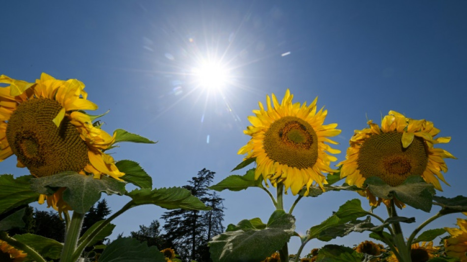 Langzeitanalyse: UV-Strahlung in Teilen Mitteleuropas stark erh&ouml;ht