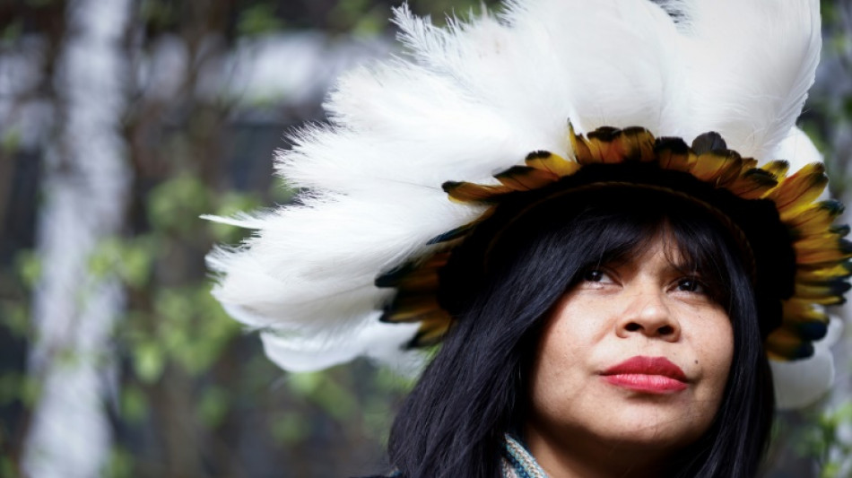 D&eacute;forestation: des peuples du Br&eacute;sil misent sur l'UE pour sauver leur savane