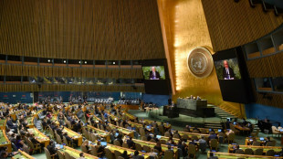 Deutschland wirbt in UN-Vollversammlung f&uuml;r Verurteilung russischer Annexionen