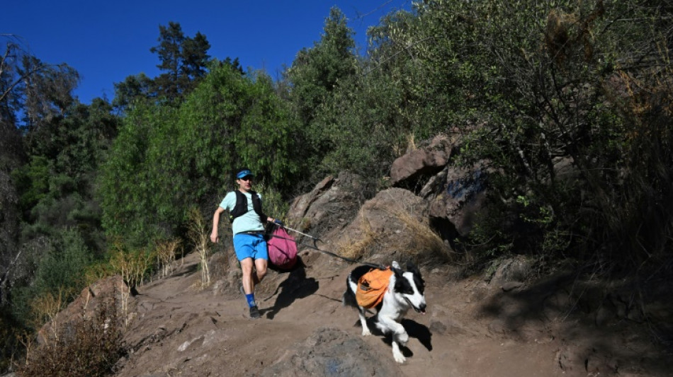 In Chile, a lawyer and his dog 'plog' to raise recycling awareness