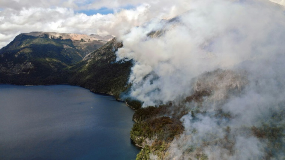 Avanza fuego en bosques nativos patag&oacute;nicos del sur de Argentina