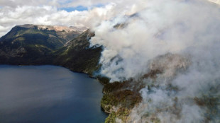 Avanza fuego en bosques nativos patag&oacute;nicos del sur de Argentina