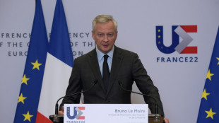 L'Europe a "des solutions pour devenir ind&eacute;pendante du gaz russe", affirme Bruno Le Maire
