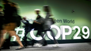 Teilnehmerstaaten einigen sich bei COP29 auf Regeln f&uuml;r den Emissionshandel