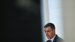 Las elecciones en Espa&ntilde;a no afectar&aacute;n su presidencia de la UE, dice Pedro S&aacute;nchez