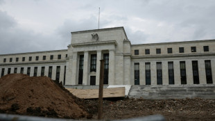 Stocks struggle on rate fears