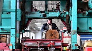 Success story: les meubles bosniens cartonnent &agrave; l'&eacute;tranger