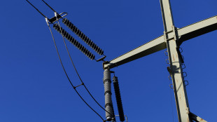 Pichetto, 'costo elettricit&agrave; in aumento, governo in allerta'