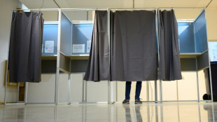 AfD scheitert bei Stichwahl um Oberb&uuml;rgermeisteramt in Sachsen-Anhalt
