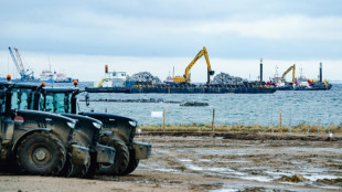 Bundesverwaltungsgericht entscheidet kommende Woche &uuml;ber Riffe bei Fehmarnbeltquerung