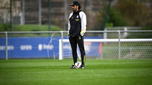 Fabio Grosso's Sassuolo return to Serie A after a year away