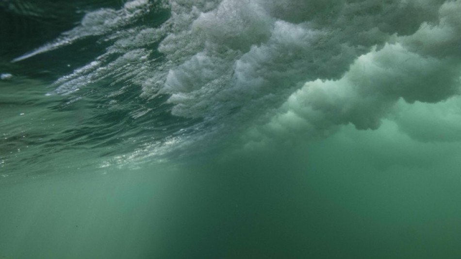 La Norvège va repousser de 4 ans les activités minières sous-marines