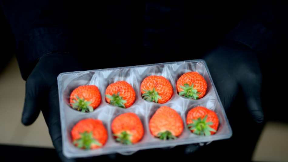 Erzeugerpreise f&uuml;r landwirtschaftliche Produkte im Mai insgesamt weiter gesunken 