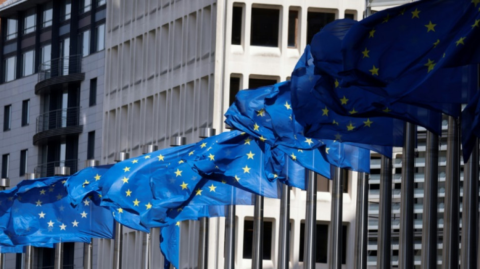 L'UE impose des surtaxes aux v&eacute;hicules &eacute;lectriques chinois