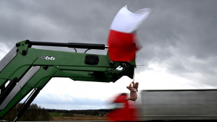 Polnische Bauern blockieren Grenz&uuml;bergang nach Deutschland