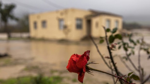 Gewitter und regionale Unwetter verursachen 2023 Rekordsch&auml;den