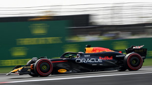 F1: l'ind&eacute;boulonnable Verstappen partira en pole position du GP de Chine