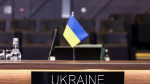 Nato-"Friedensmission" st&ouml;&szlig;t in Allianz auf Skepsis