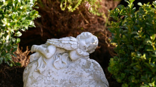 Mann muss in Rheinland-Pfalz Bestattungskosten f&uuml;r unbekannten Halbbruder zahlen