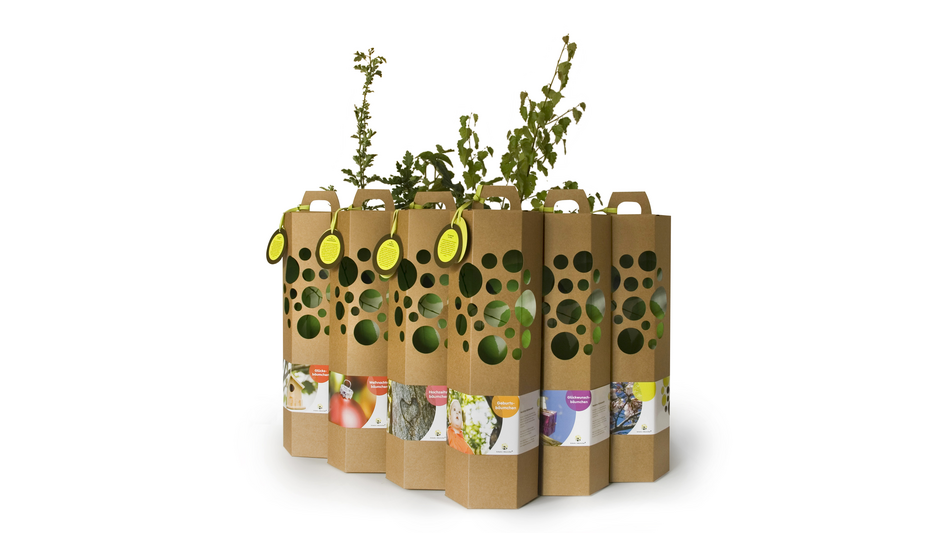 F&uuml;nf B&auml;ume f&uuml;r ein Leben