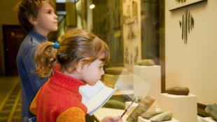 Camino Announces C$5.6 Million Investment with Strategic Investors